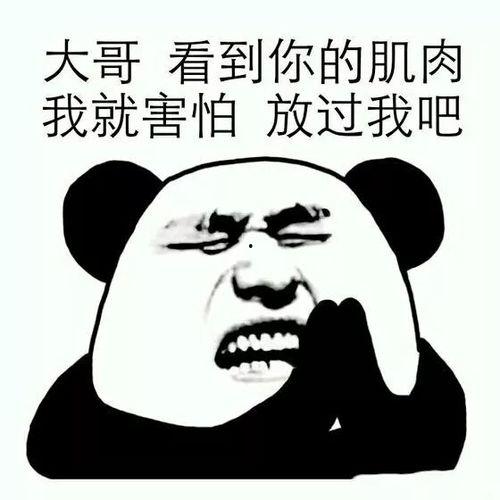 除了我表情包